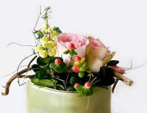 pink green and yellow flowers thumbnail