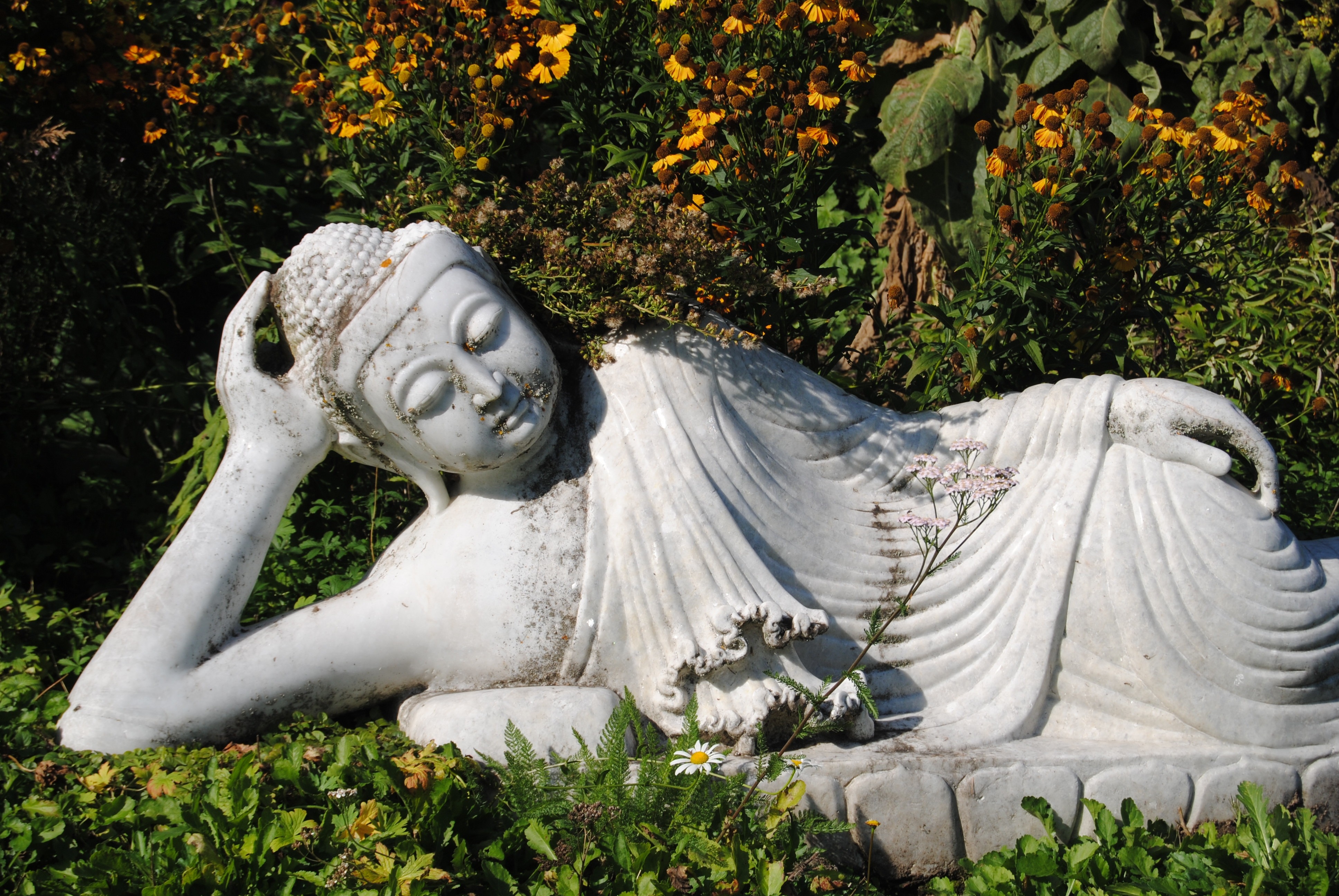 white sleeping buddha statue