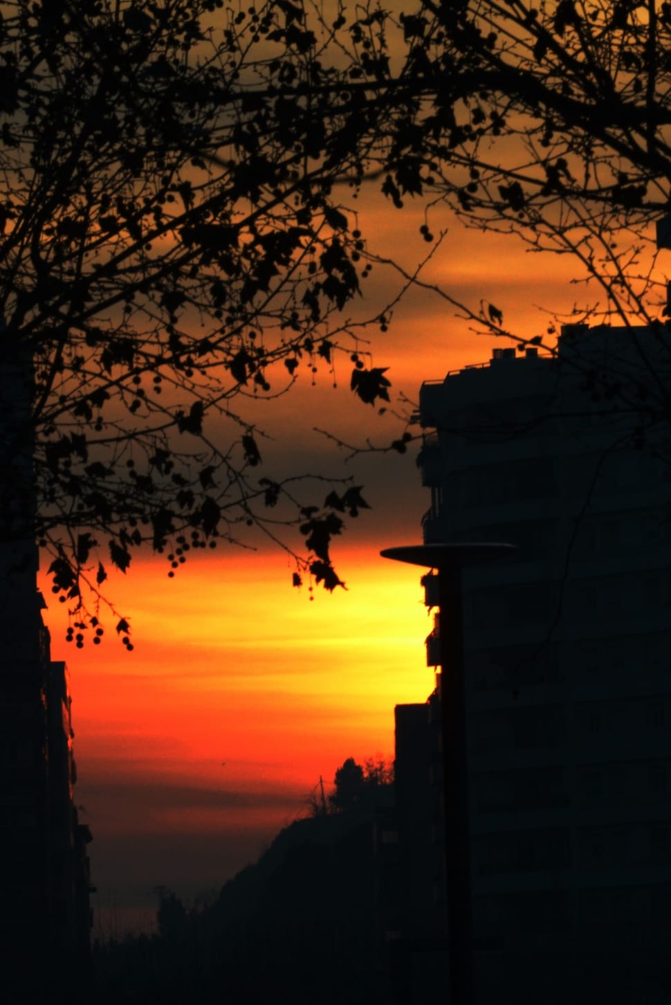 silhouette of trees and mountain during sunset preview
