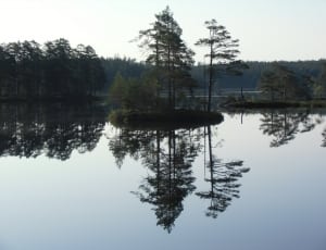 photography of isle in the middle of the lake thumbnail