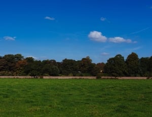 green grass field during daytime thumbnail