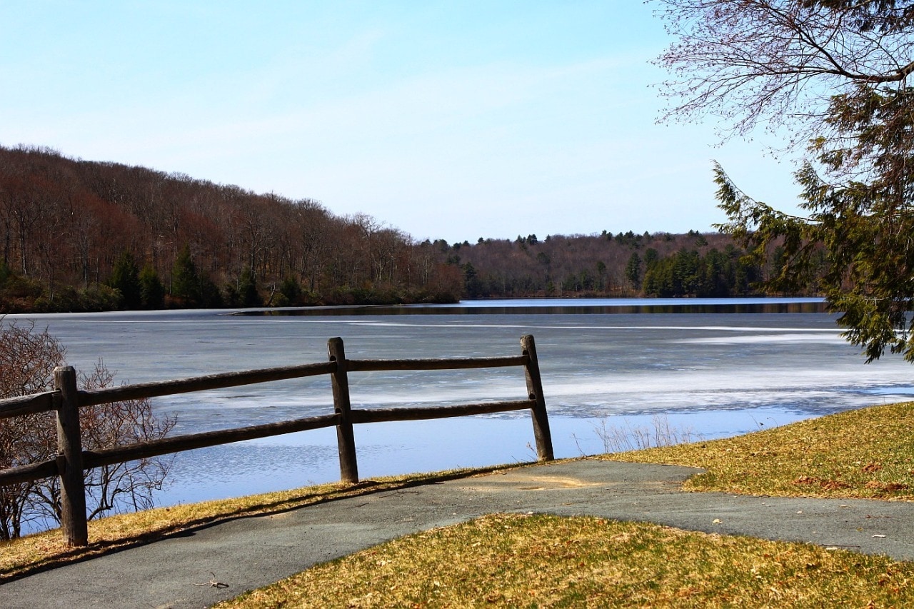 brown wooden fence near body of water