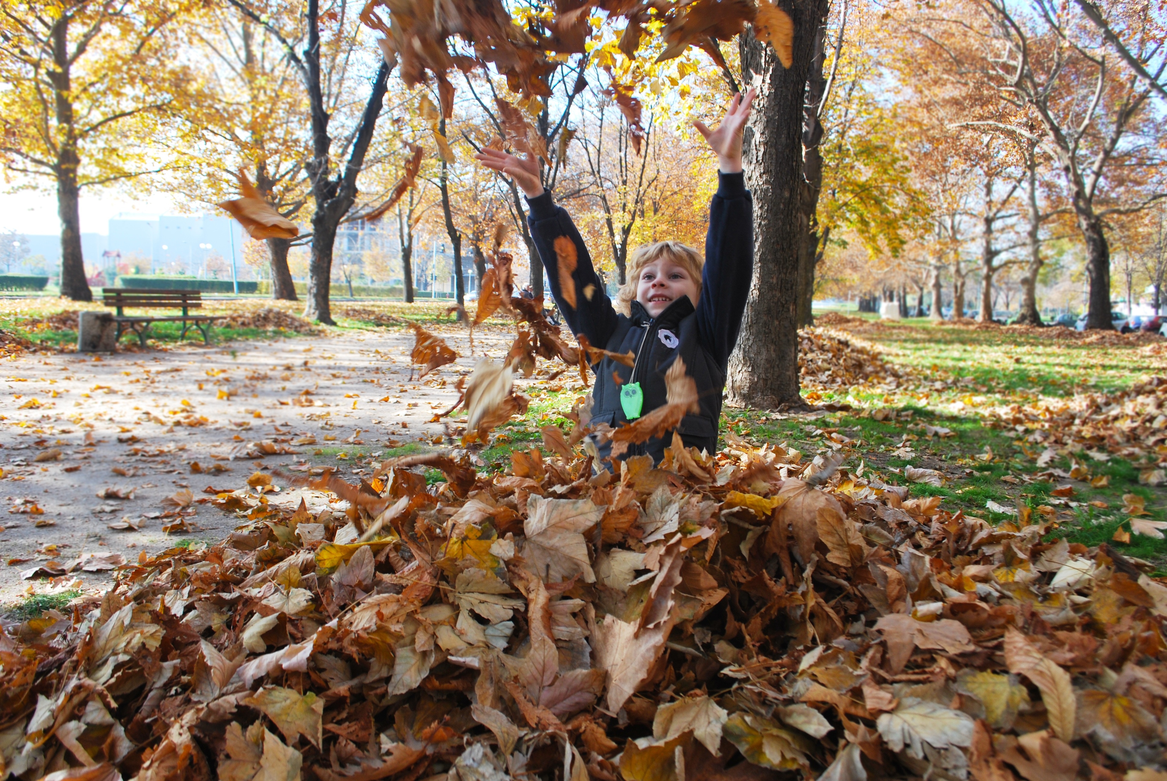 Он любит играть листьями. Листва в играх. Игры с осенними листьями. Игра с листвой осенью. Игры в осеннем парке.