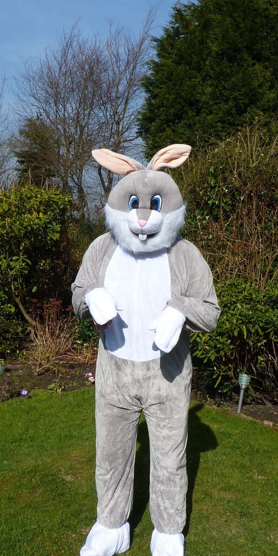 bugs bunny costume preview