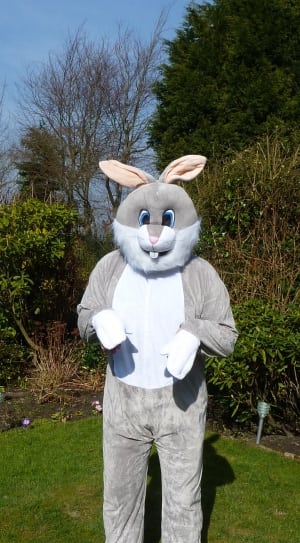 bugs bunny costume thumbnail