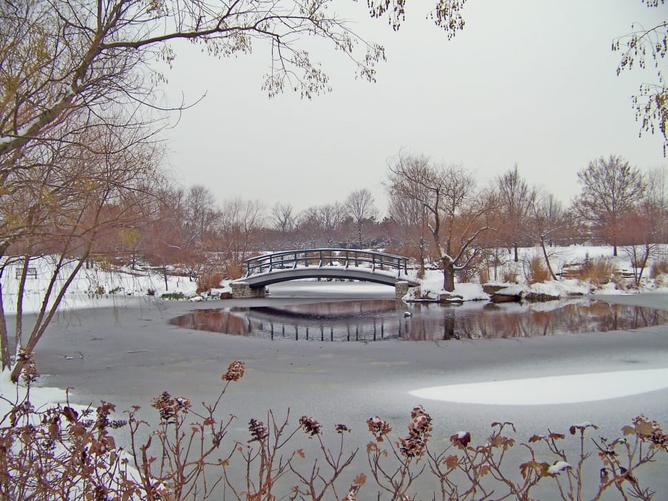 gray wooden mini bridge near snow preview