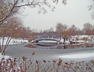 gray wooden mini bridge near snow thumbnail