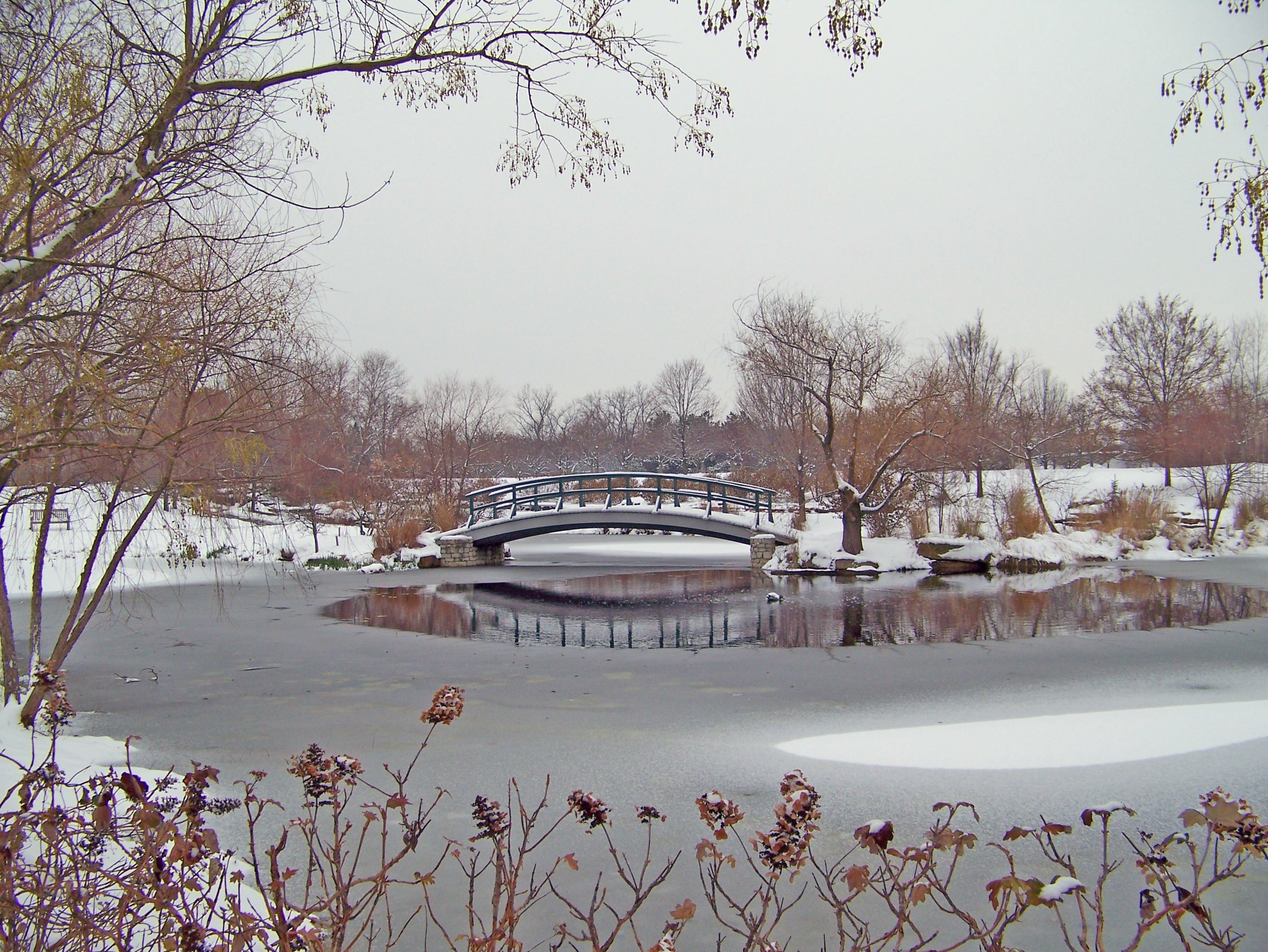 gray wooden mini bridge near snow