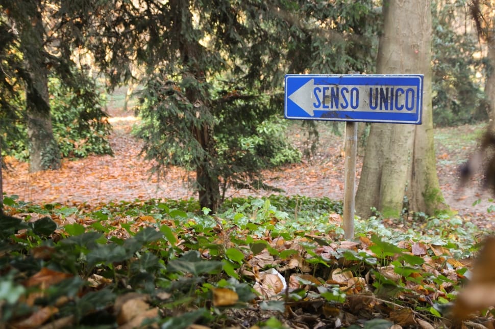 blue and white senso unico street sign preview