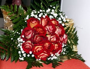 red and white roses surrounds with green fern plants of red textile thumbnail