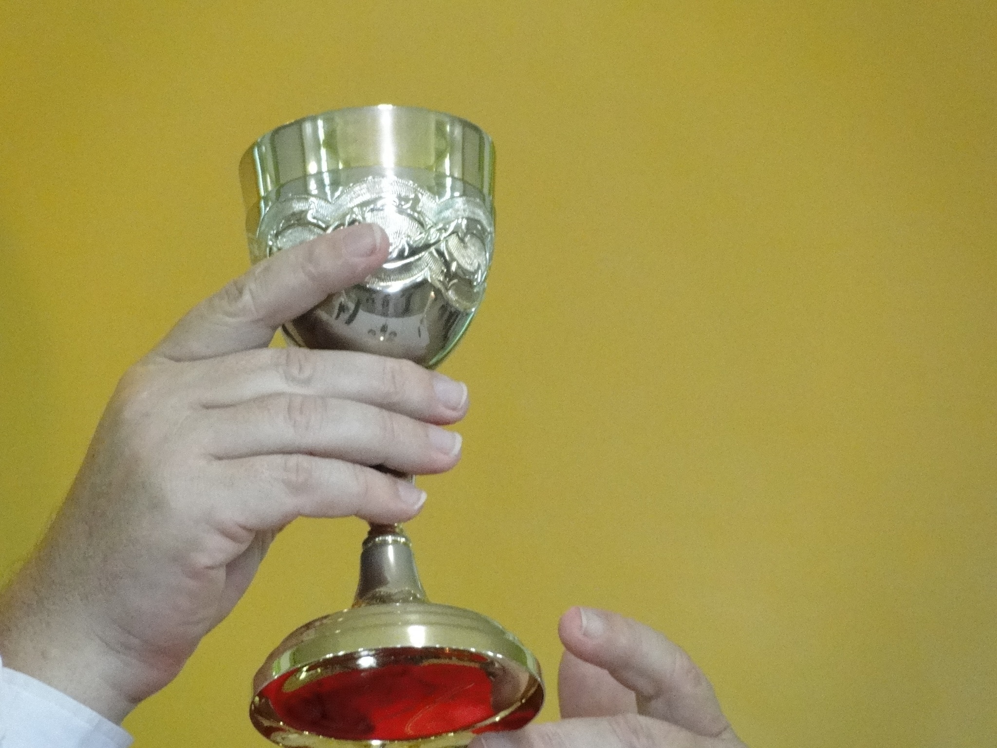 stainless steel chalice