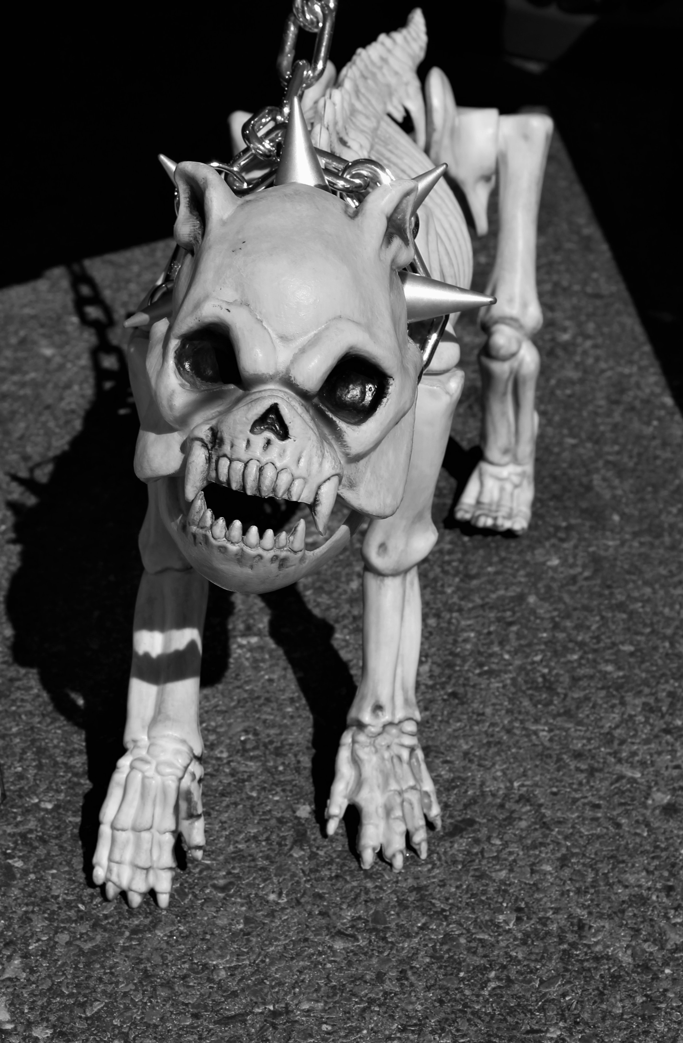 white skull dog figure