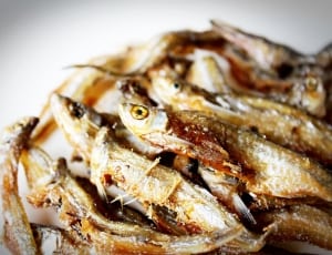 fried fish thumbnail