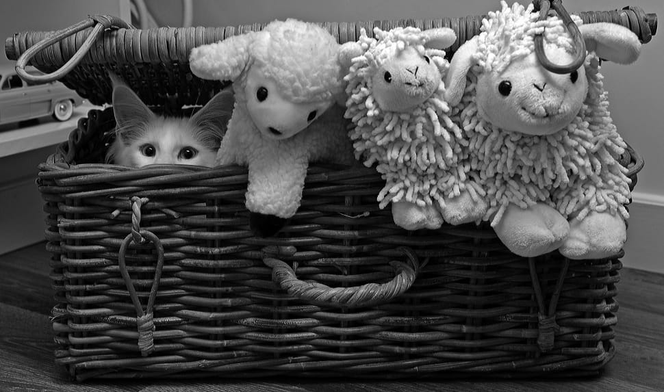 sheep plush toys preview