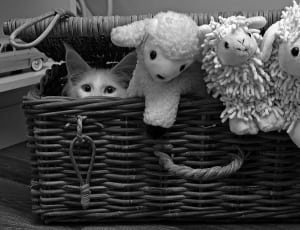 sheep plush toys thumbnail
