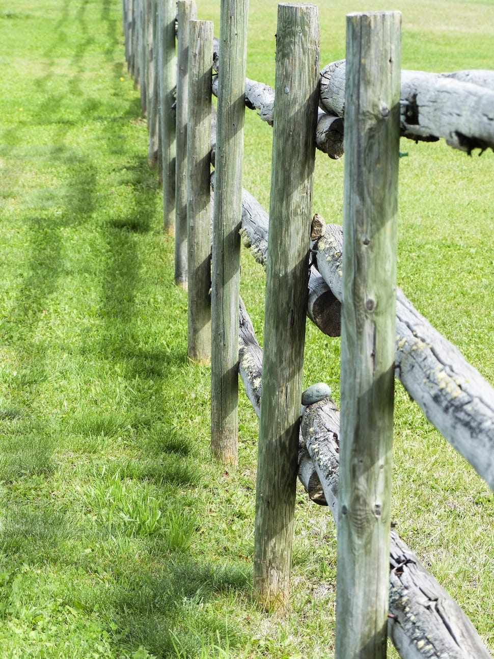 grey wooden fence preview