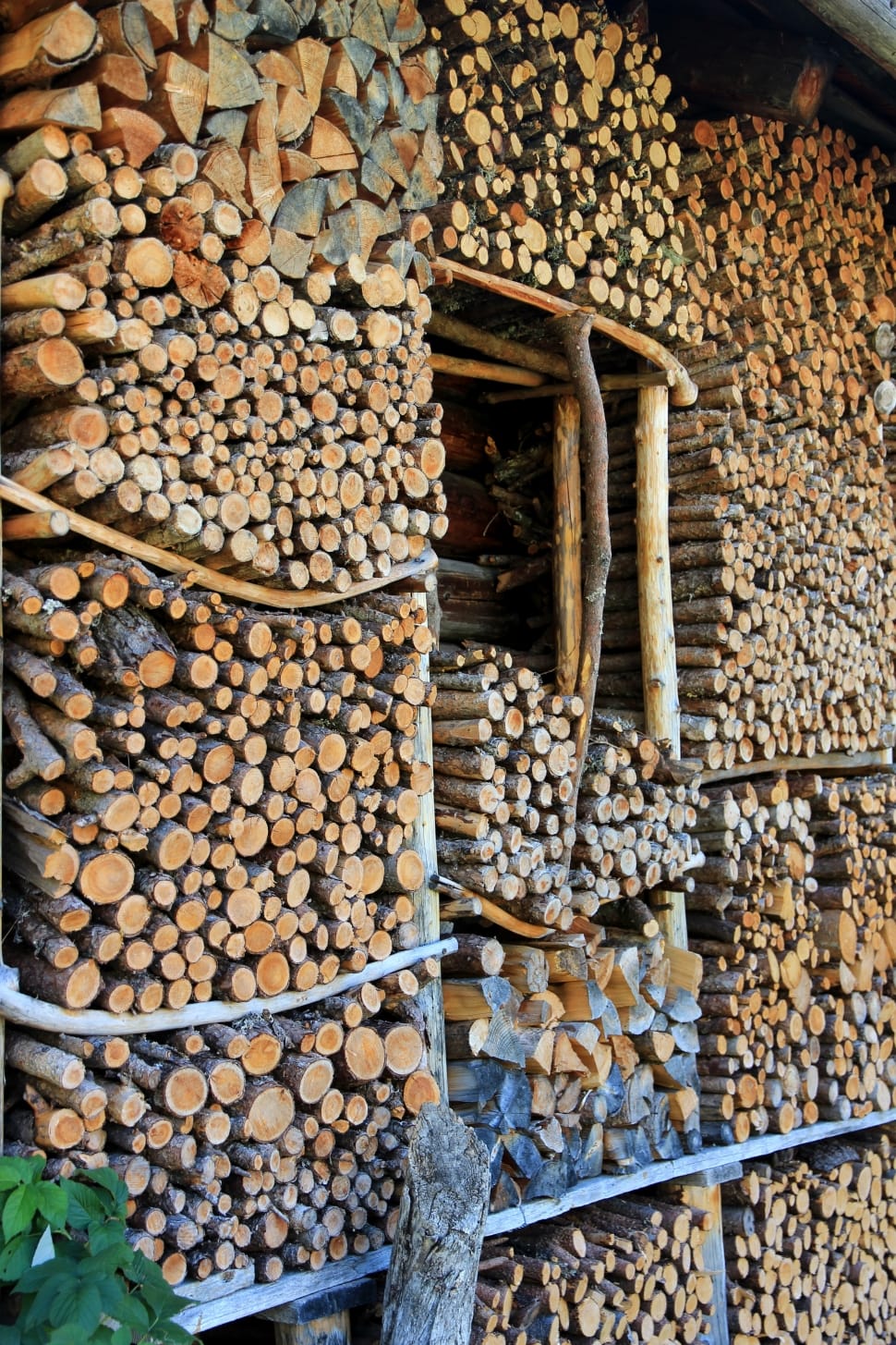 firewood lot preview