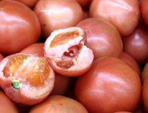 tomato fruit lot thumbnail