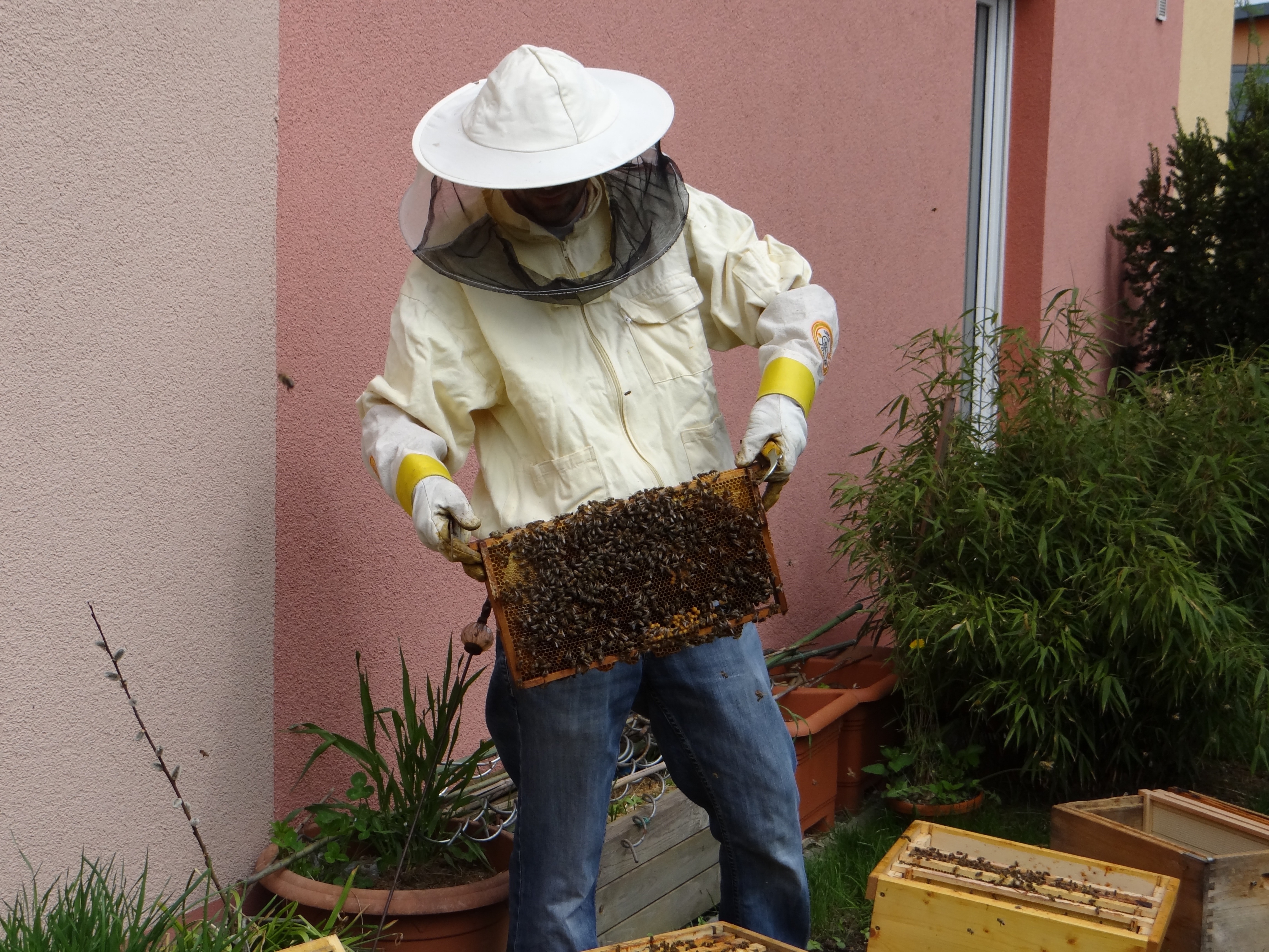 man wearing anti bee bite suit holding bee hive