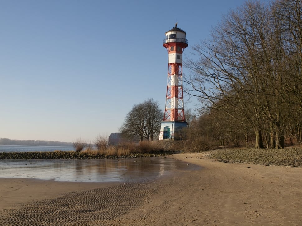 lighthouse on beach surrounded by bare trees preview