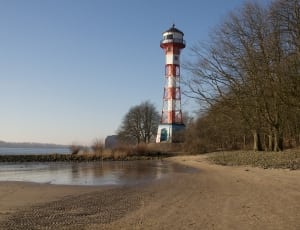 lighthouse on beach surrounded by bare trees thumbnail