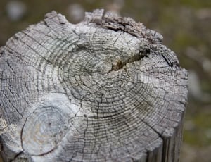 grey natural wood thumbnail