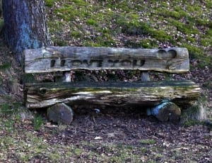 gray wooden  i love you engraved bench thumbnail