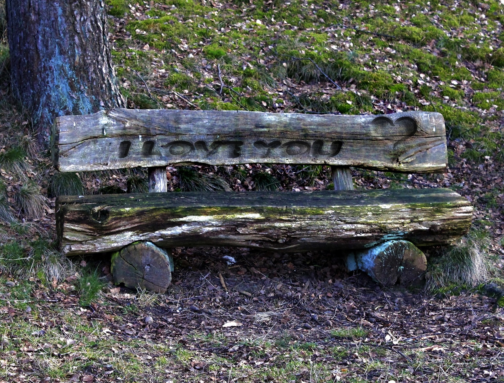 gray wooden  i love you engraved bench