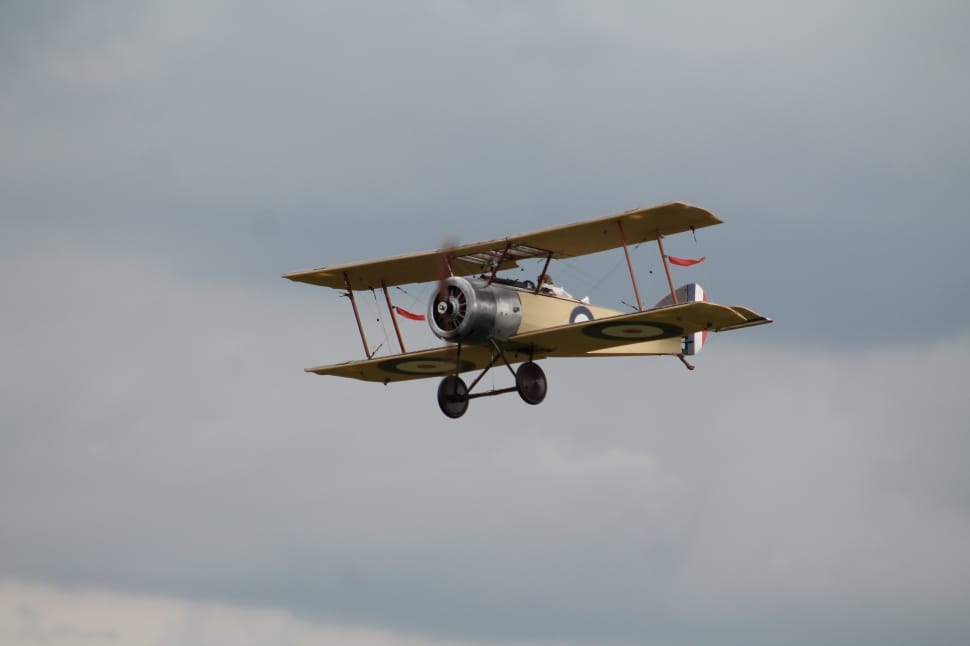 brown aircraft preview