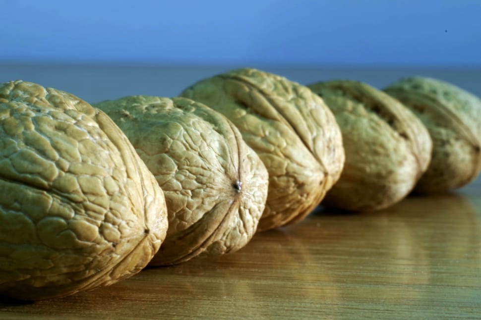 brown walnuts preview
