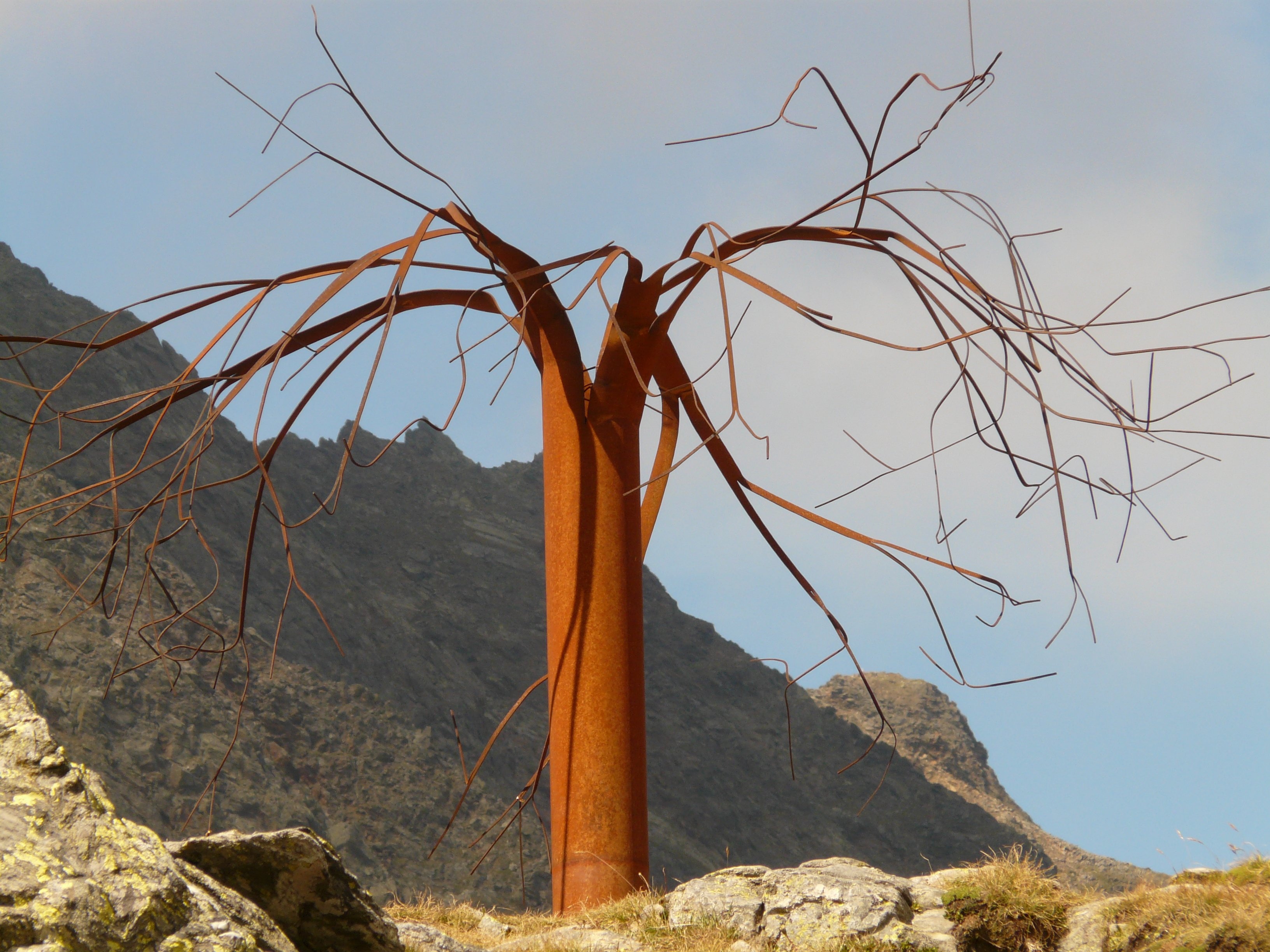 brown naked tree