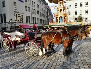 red horse carriages thumbnail