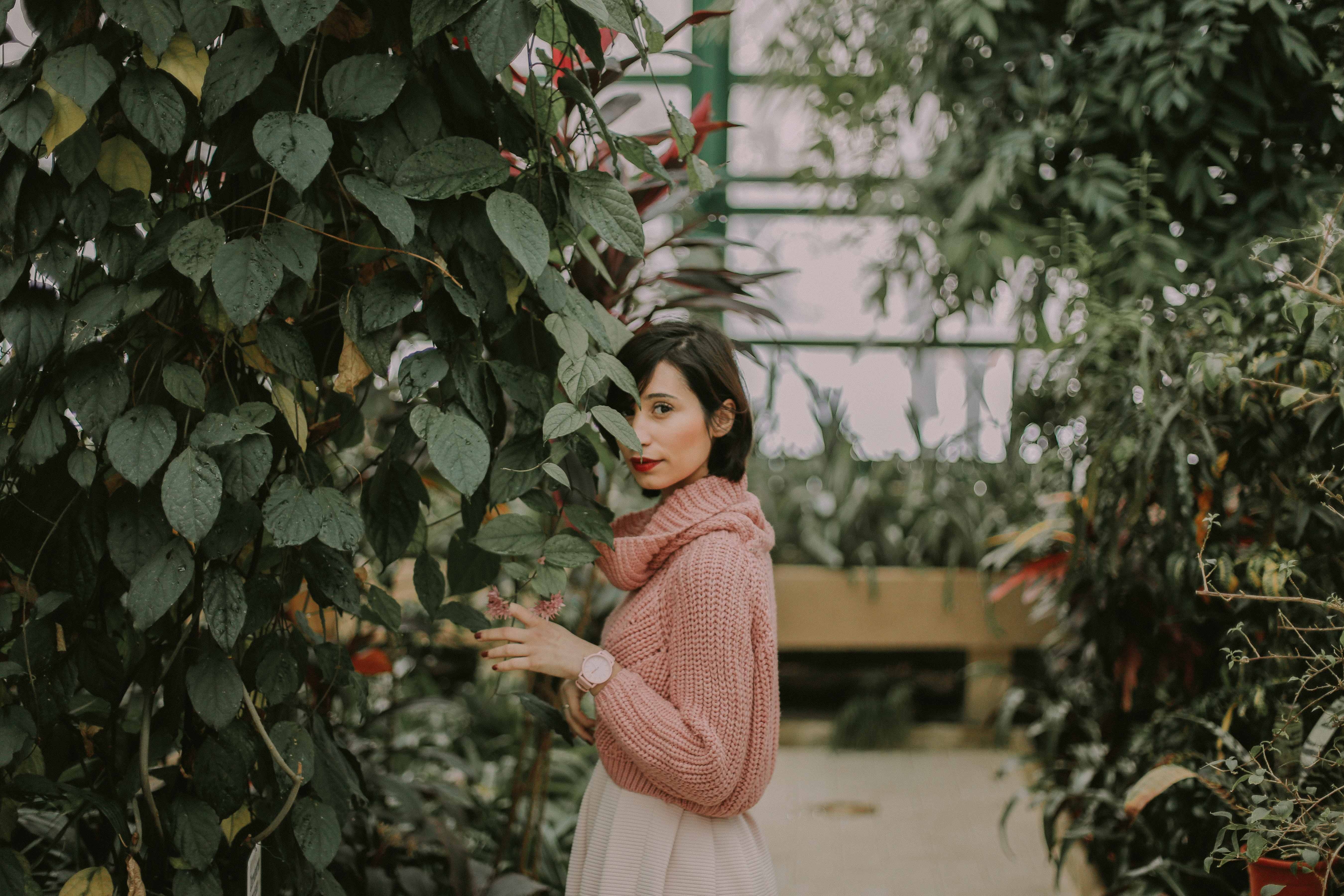woman wearing pink knitted long sleeve top near green plants