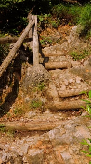 grey stone beside log pathway during daytime thumbnail
