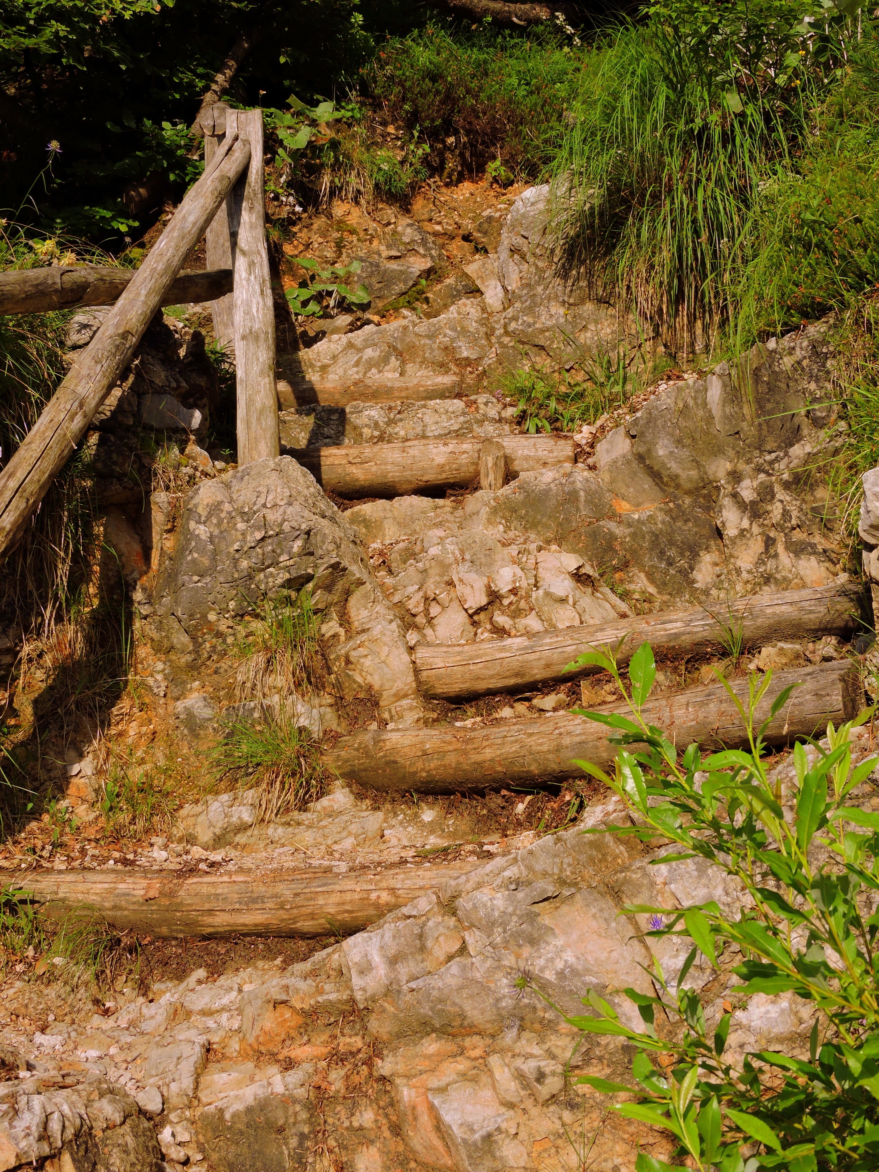 grey stone beside log pathway during daytime