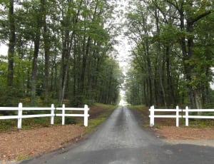 asphalt road and brown wooden picket fence thumbnail