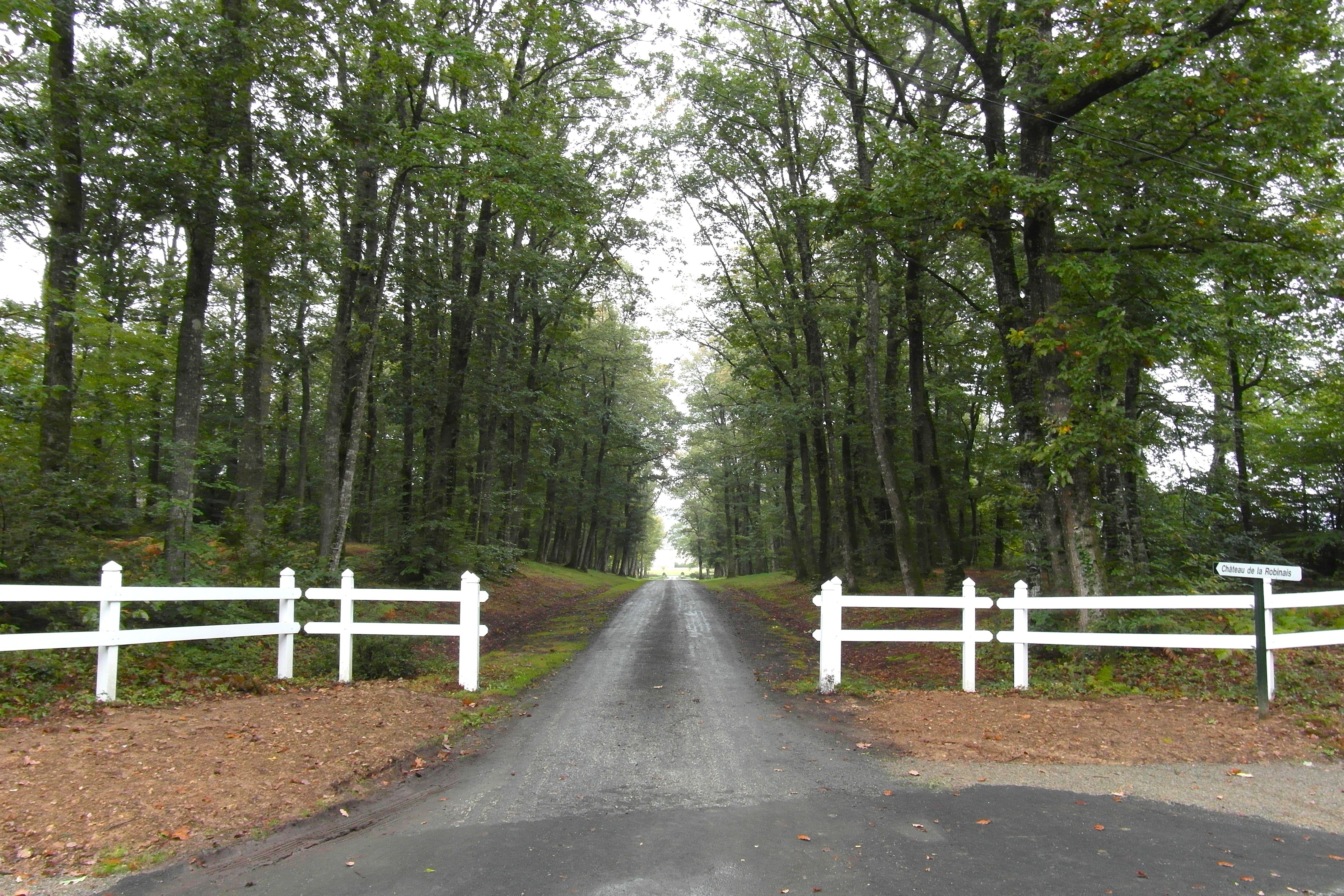 asphalt road and brown wooden picket fence