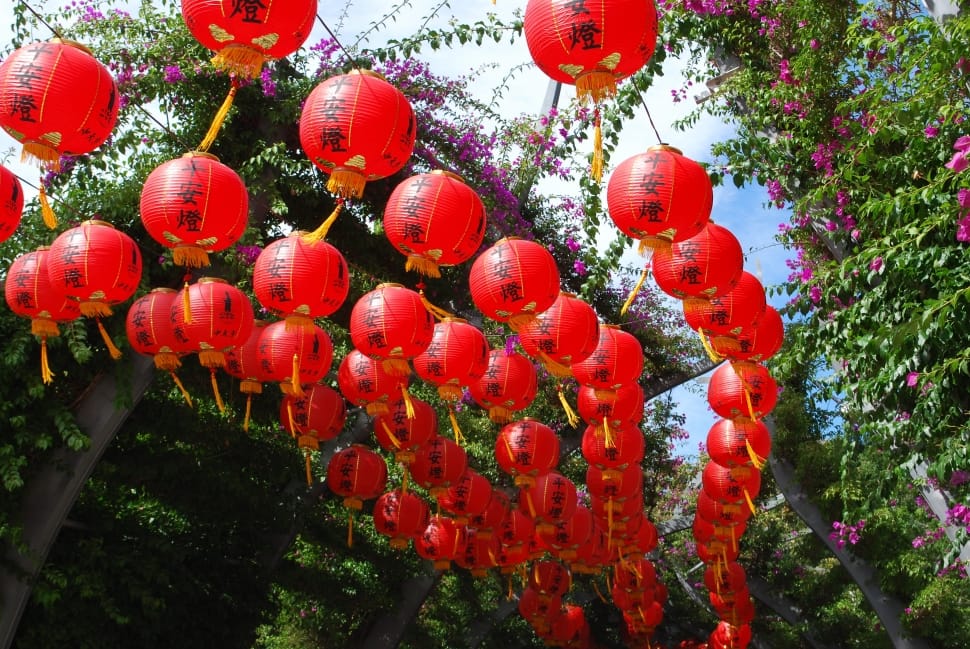red and brown chinese lanterns lot preview