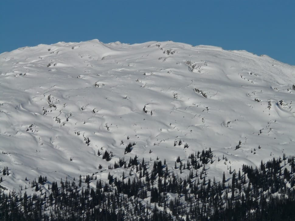 snow capped mountain preview