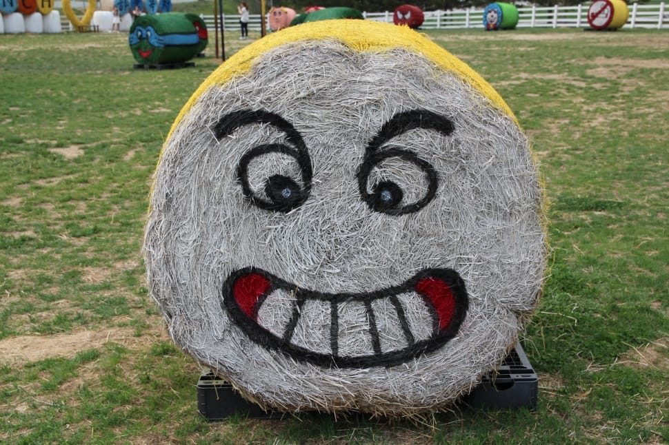 gray smiley printed rolled grass during daytime preview