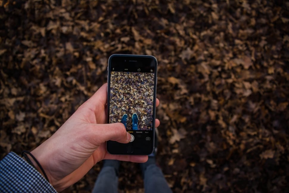 person taking a photo of dry leaves using black android smartphone preview