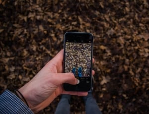 person taking a photo of dry leaves using black android smartphone thumbnail