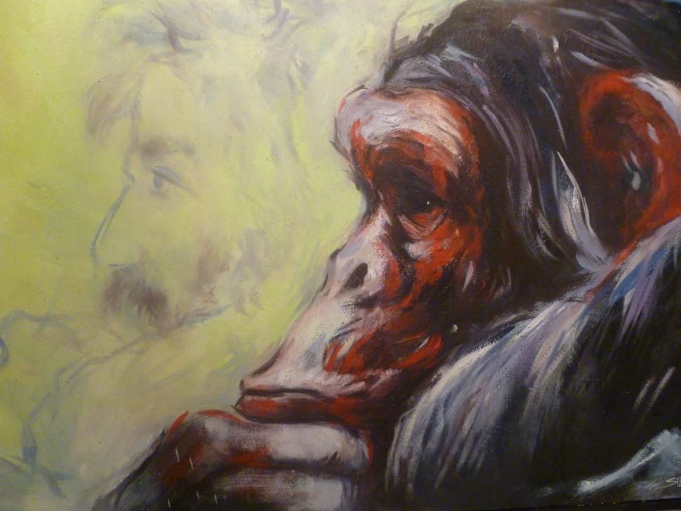 closeup photo of gorilla and man sketch preview