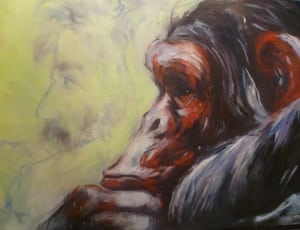 closeup photo of gorilla and man sketch thumbnail