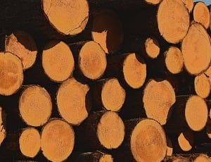brown wooden trunk lot thumbnail