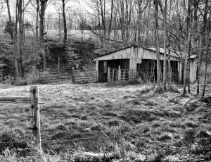 gray scale photo of barnhouse thumbnail