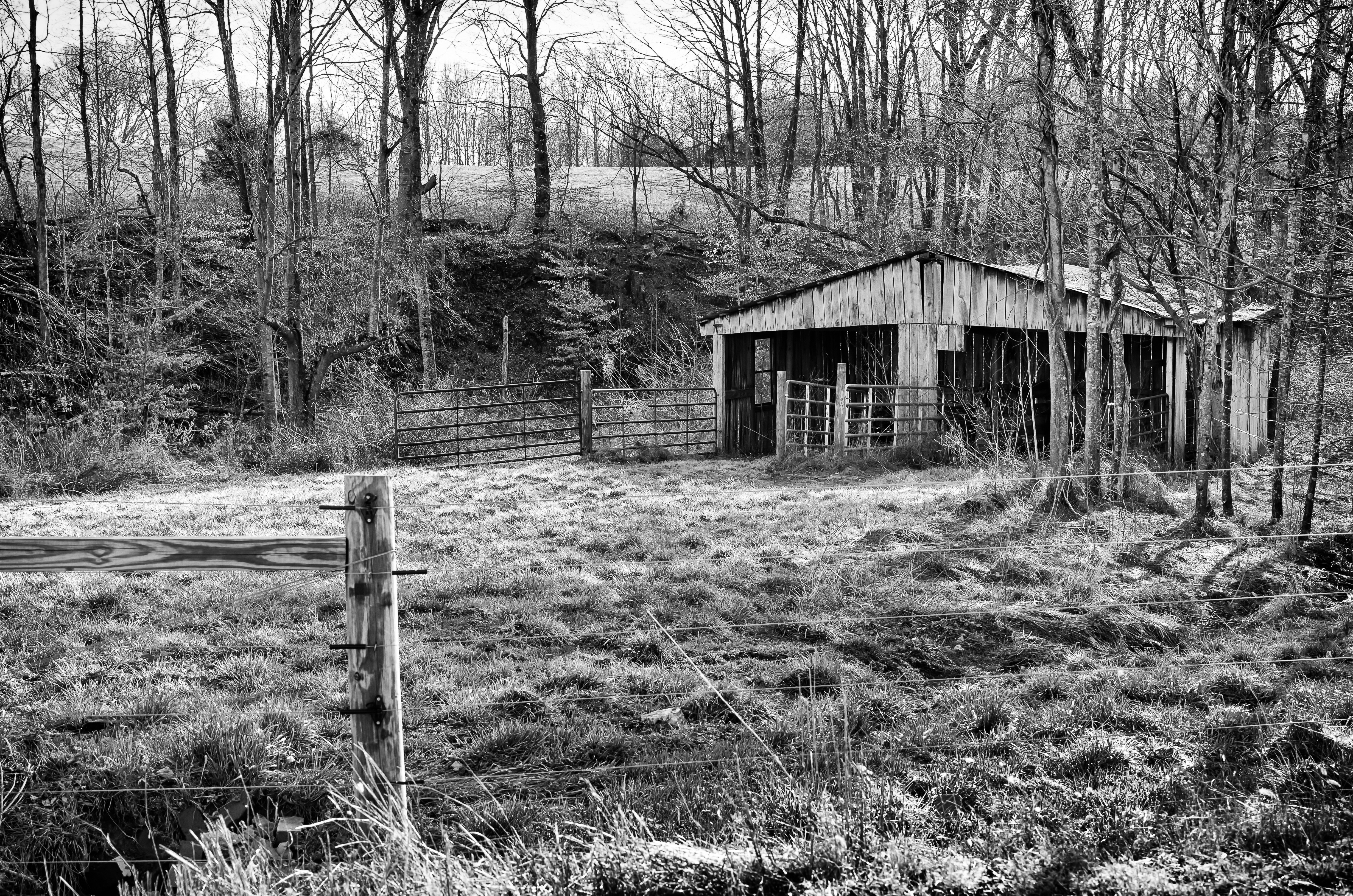 gray scale photo of barnhouse