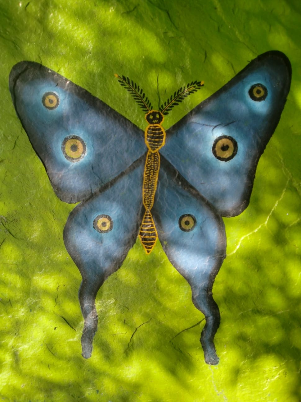blue yellow black butterfly preview