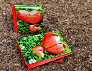 green and red plastic bag thumbnail