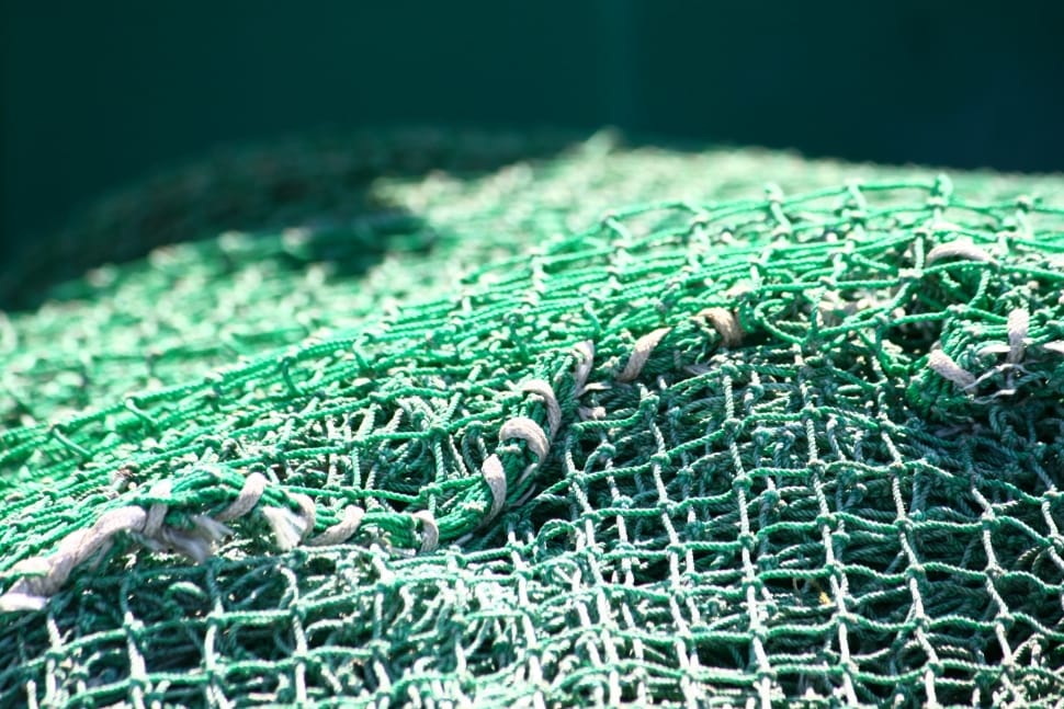 green net preview